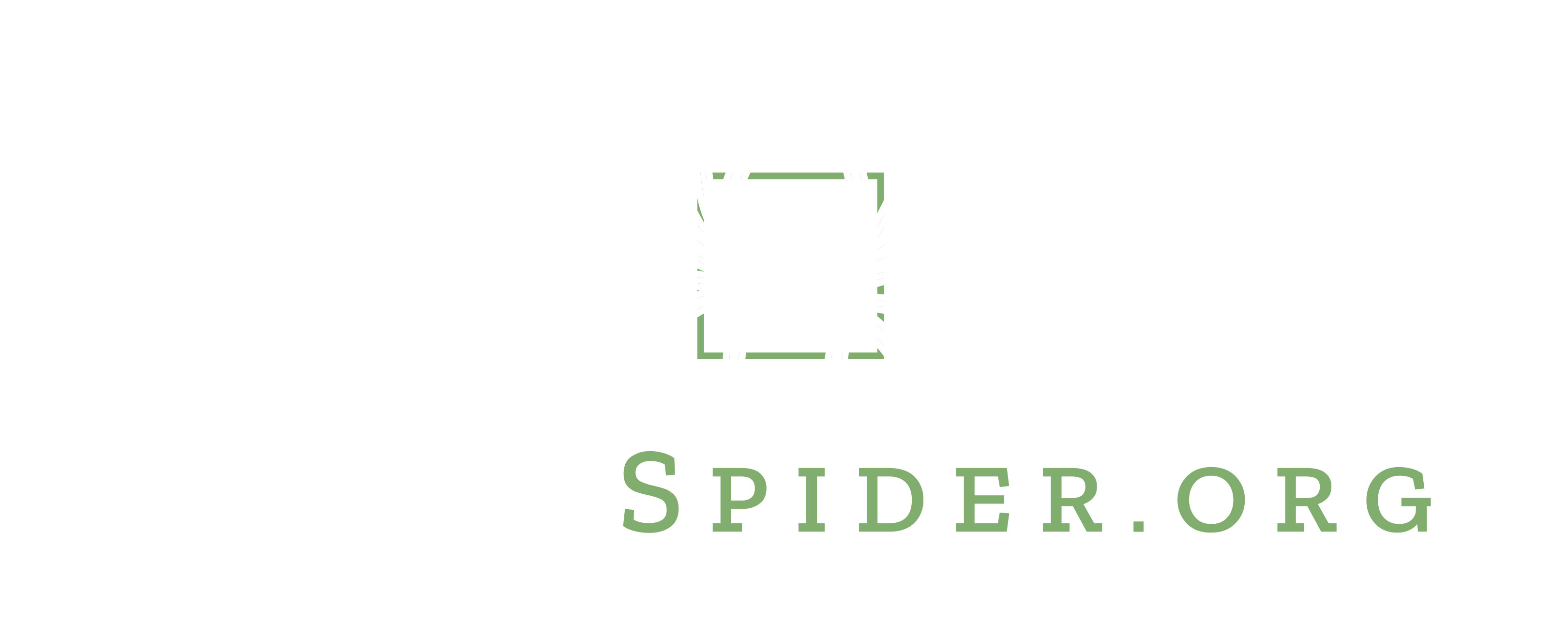 White Spider Logo